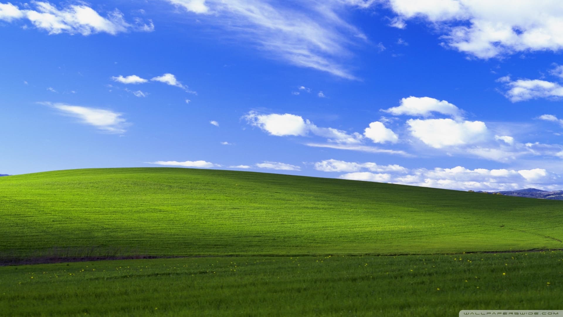 Windows XP Wallpaper
